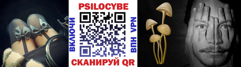 Купить закладки  Себеж  Псилоцибиновые грибы прущие грибы 